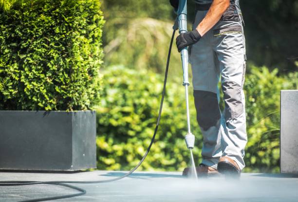 Best Sidewalk and Walkway Pressure Cleaning in Geneva, IN