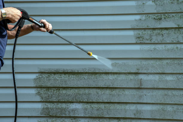 Best Gutter Cleaning and Brightening in Geneva, IN